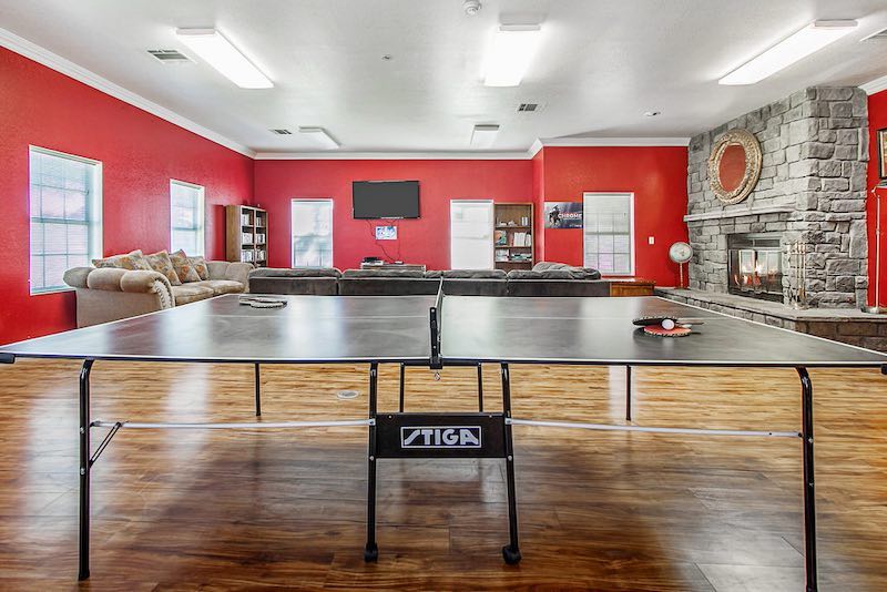 Recreation Room with Ping Pong Table and Stone Fireplace