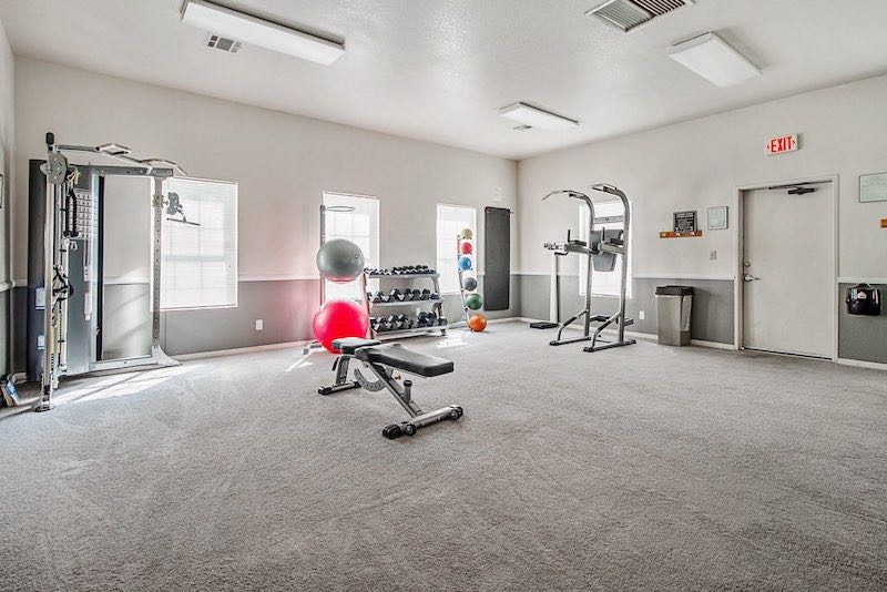 Gym Area with Cable Machine, Bench, Dumbbells, Medicine Balls, Yoga Balls, and Captain's Chair