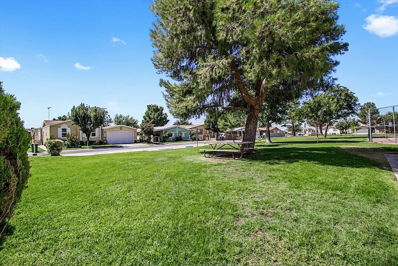 Large Grassy Area with Shaded Sitting Area