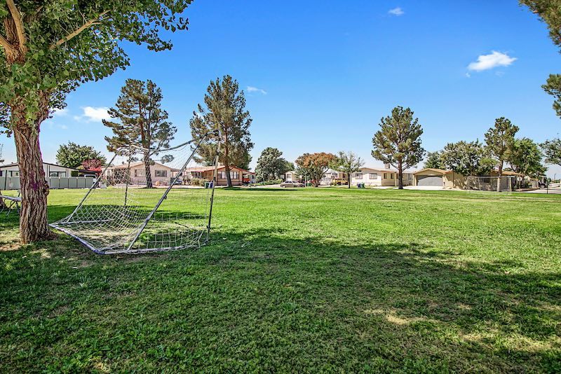 Large Grassy Field with Goalpost