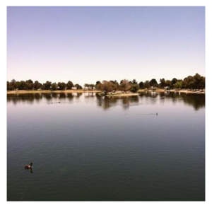 Large lake at Apollo Community Regional Park